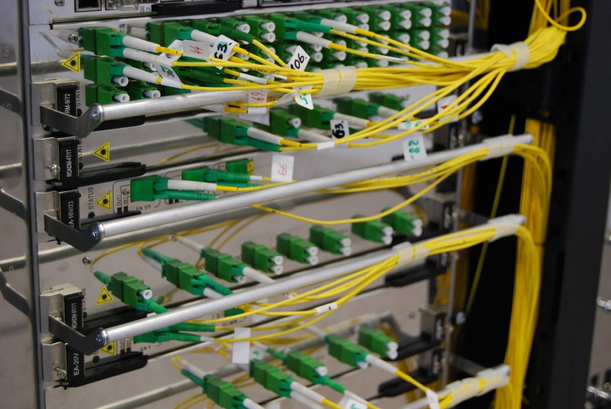 Network fibre cabling, the green found in the frame.