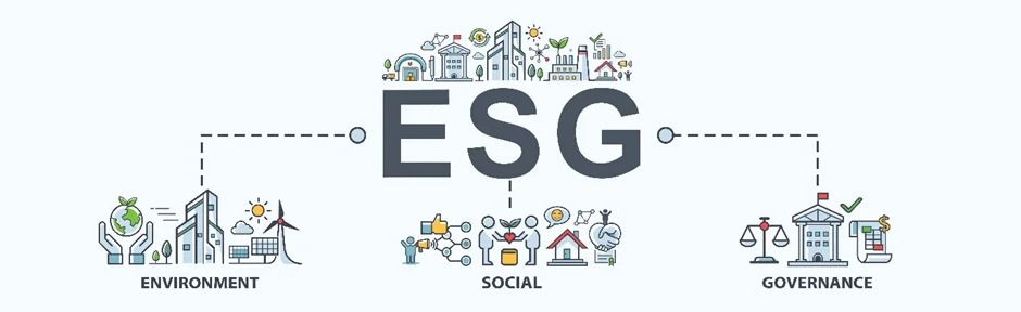 Up to Standard? How to choose an ESG framework